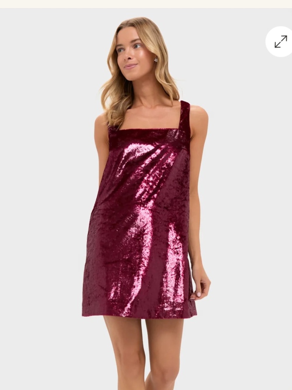 NWT Hyacinth House Garnet Shimmer Gavin Swing Dress